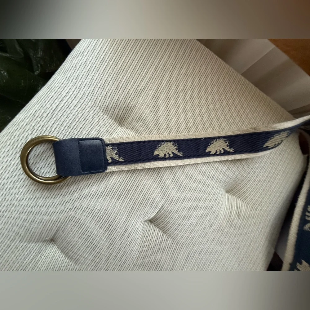 Gap Boys Blue & Cream Dinosaur Belt w/Brass Buckle adjustable sz 2-5 year old - Picture 7 of 7